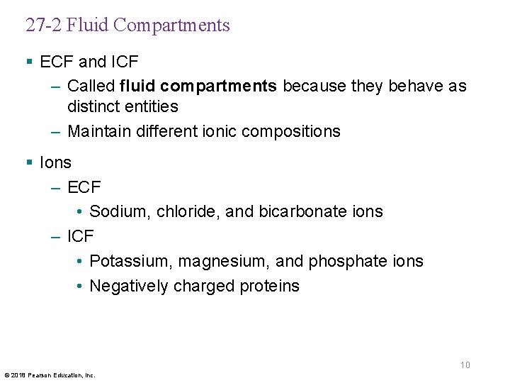 27 -2 Fluid Compartments § ECF and ICF – Called fluid compartments because they