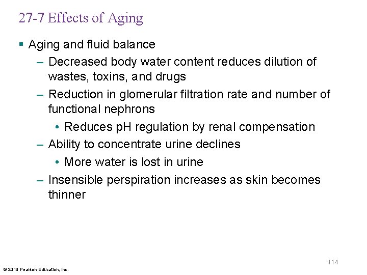 27 -7 Effects of Aging § Aging and fluid balance – Decreased body water