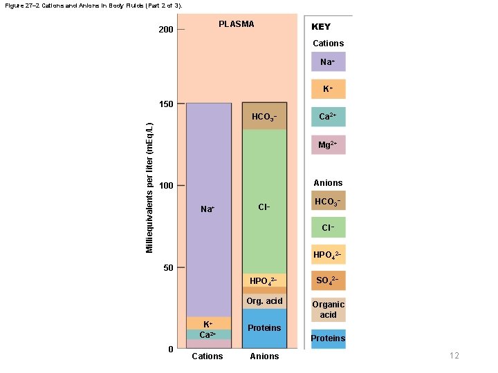 Figure 27– 2 Cations and Anions in Body Fluids (Part 2 of 3). PLASMA