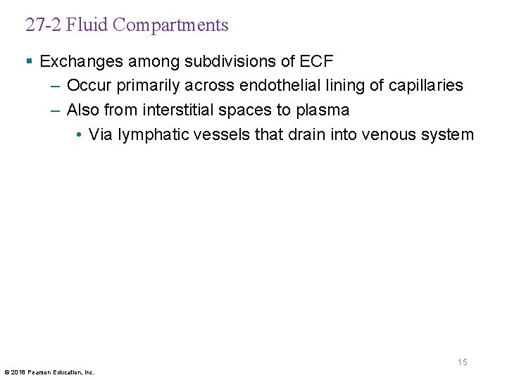 27 -2 Fluid Compartments § Exchanges among subdivisions of ECF – Occur primarily across