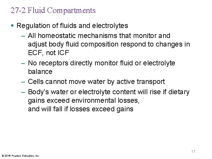 27 -2 Fluid Compartments § Regulation of fluids and electrolytes – All homeostatic mechanisms
