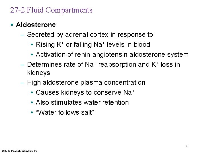 27 -2 Fluid Compartments § Aldosterone – Secreted by adrenal cortex in response to