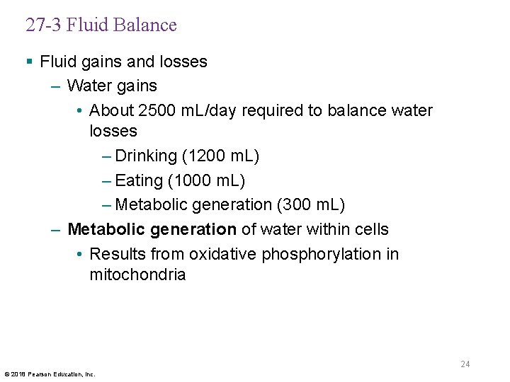 27 -3 Fluid Balance § Fluid gains and losses – Water gains • About