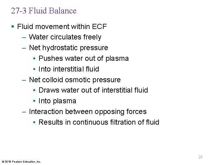27 -3 Fluid Balance § Fluid movement within ECF – Water circulates freely –