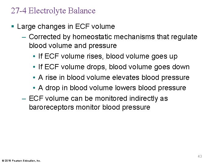 27 -4 Electrolyte Balance § Large changes in ECF volume – Corrected by homeostatic