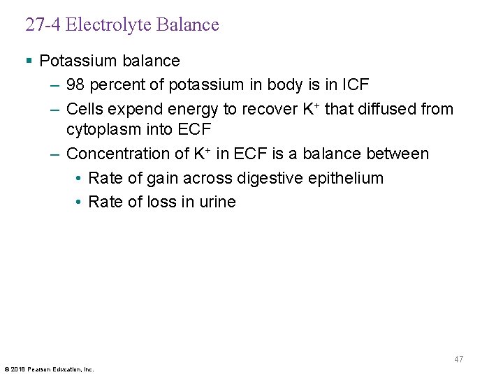 27 -4 Electrolyte Balance § Potassium balance – 98 percent of potassium in body