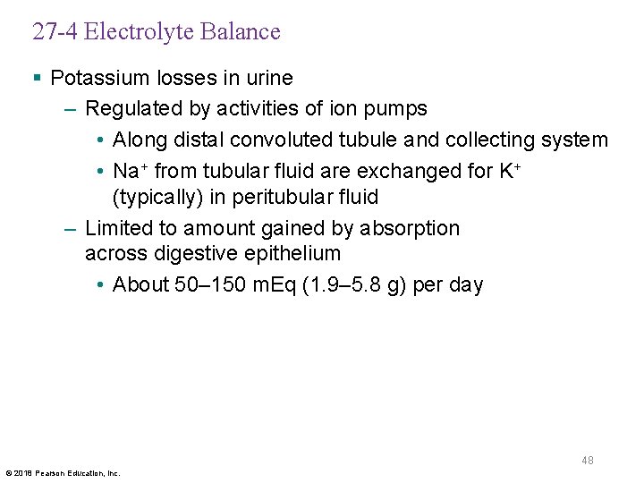 27 -4 Electrolyte Balance § Potassium losses in urine – Regulated by activities of