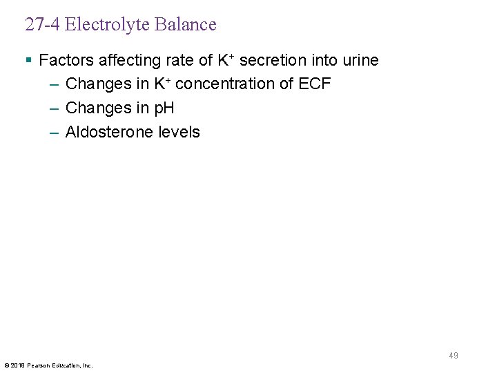 27 -4 Electrolyte Balance § Factors affecting rate of K+ secretion into urine –