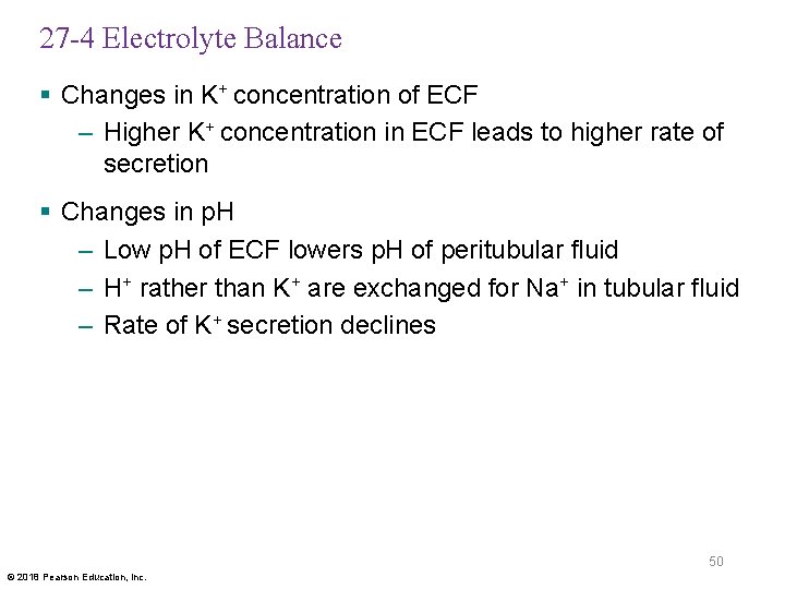 27 -4 Electrolyte Balance § Changes in K+ concentration of ECF – Higher K+