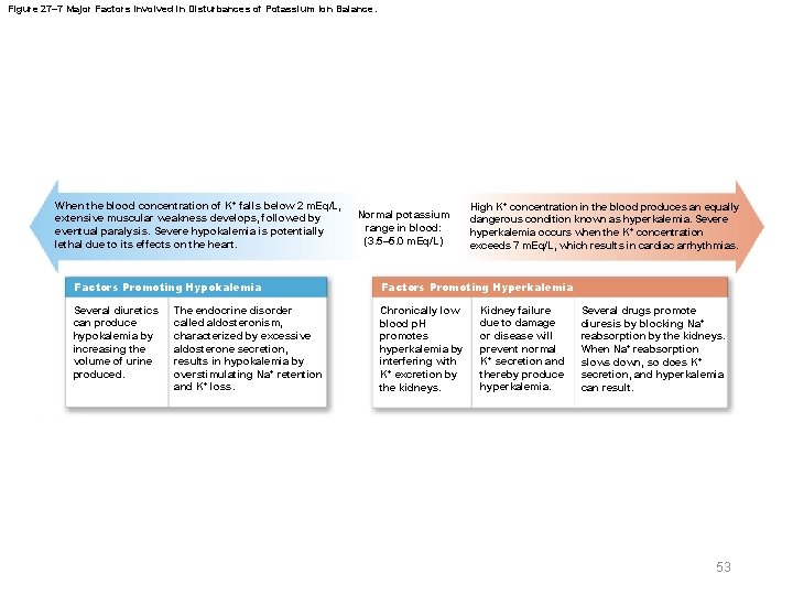 Figure 27– 7 Major Factors Involved in Disturbances of Potassium Ion Balance. When the