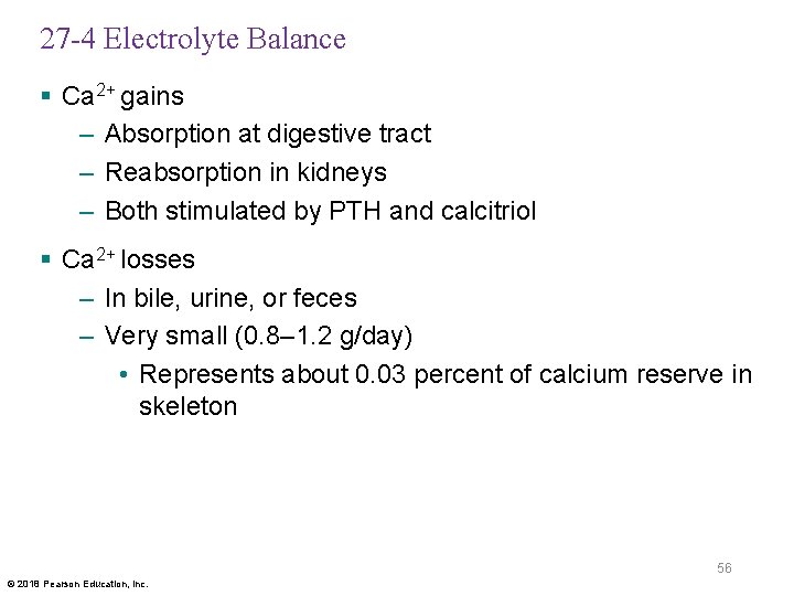 27 -4 Electrolyte Balance § Ca 2+ gains – Absorption at digestive tract –