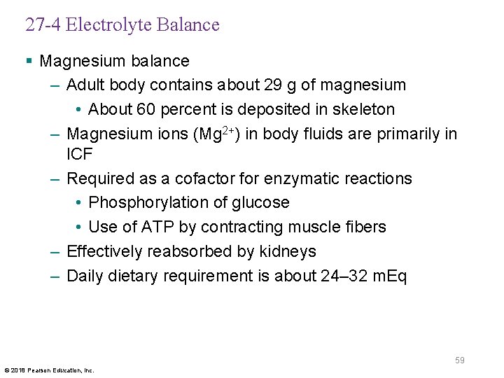 27 -4 Electrolyte Balance § Magnesium balance – Adult body contains about 29 g