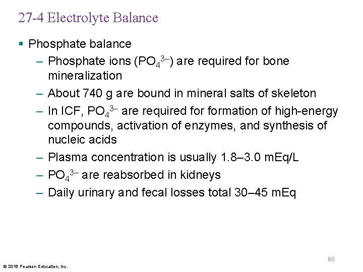 27 -4 Electrolyte Balance § Phosphate balance – Phosphate ions (PO 43–) are required