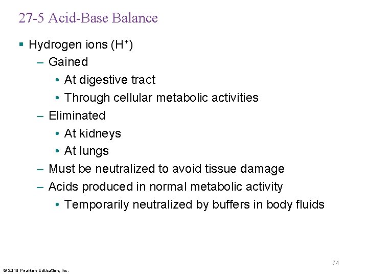 27 -5 Acid-Base Balance § Hydrogen ions (H+) – Gained • At digestive tract