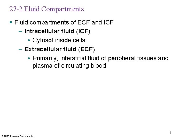 27 -2 Fluid Compartments § Fluid compartments of ECF and ICF – Intracellular fluid