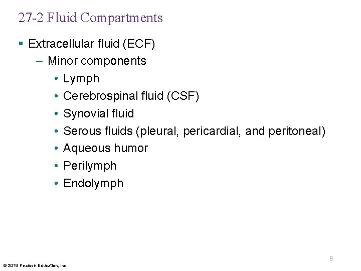 27 -2 Fluid Compartments § Extracellular fluid (ECF) – Minor components • Lymph •