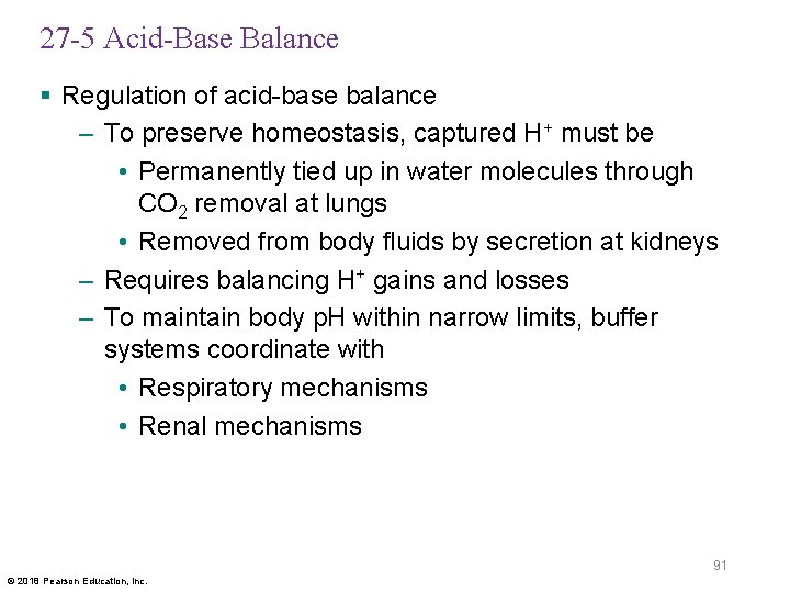 27 -5 Acid-Base Balance § Regulation of acid-base balance – To preserve homeostasis, captured