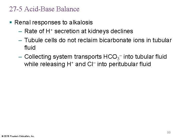 27 -5 Acid-Base Balance § Renal responses to alkalosis – Rate of H+ secretion