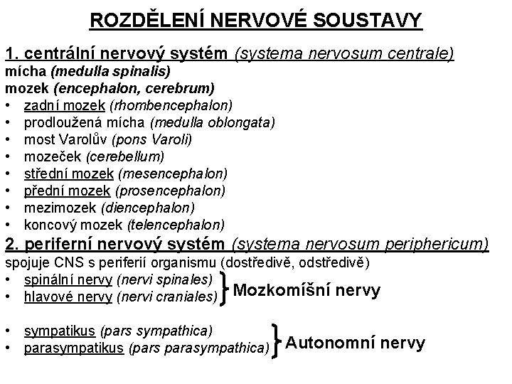 ROZDĚLENÍ NERVOVÉ SOUSTAVY 1. centrální nervový systém (systema nervosum centrale) mícha (medulla spinalis) mozek