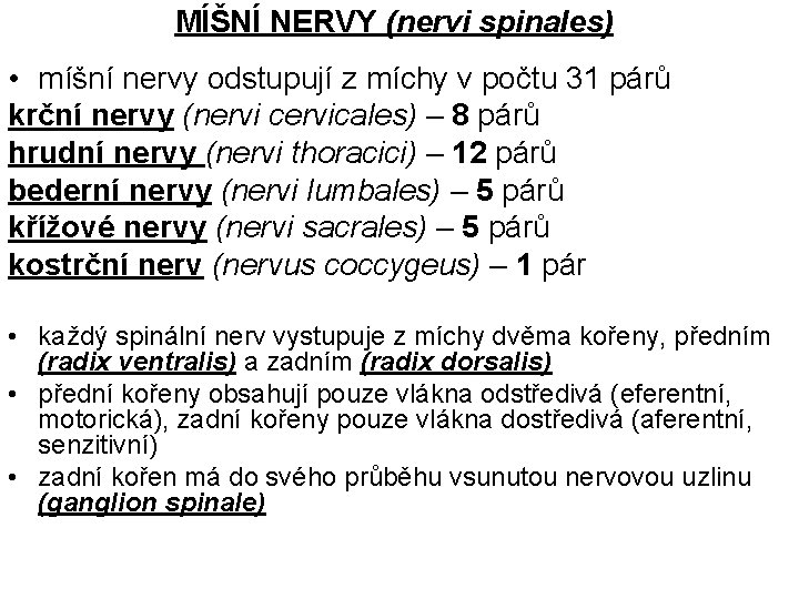 MÍŠNÍ NERVY (nervi spinales) • míšní nervy odstupují z míchy v počtu 31 párů