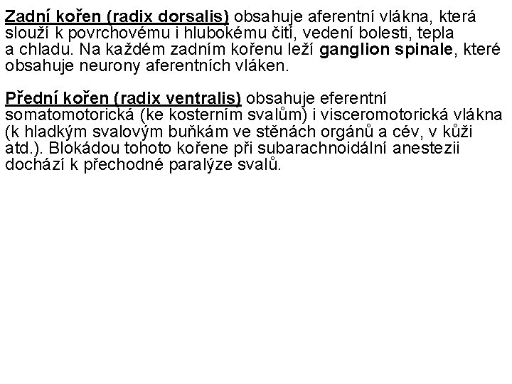 Zadní kořen (radix dorsalis) obsahuje aferentní vlákna, která slouží k povrchovému i hlubokému čití,