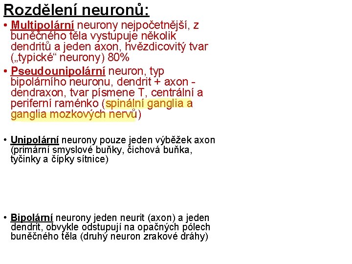 Rozdělení neuronů: • Multipolární neurony nejpočetnější, z buněčného těla vystupuje několik dendritů a jeden