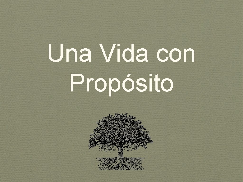 Una Vida con Propósito Una Vida con Propósito