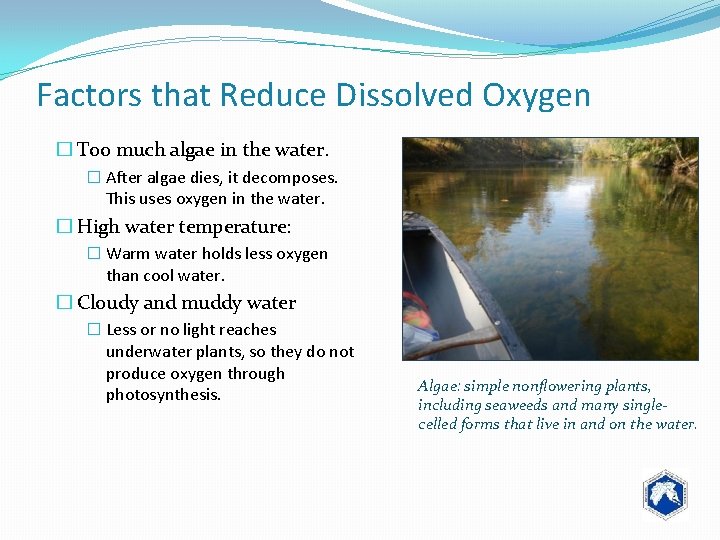 Factors that Reduce Dissolved Oxygen � Too much algae in the water. � After