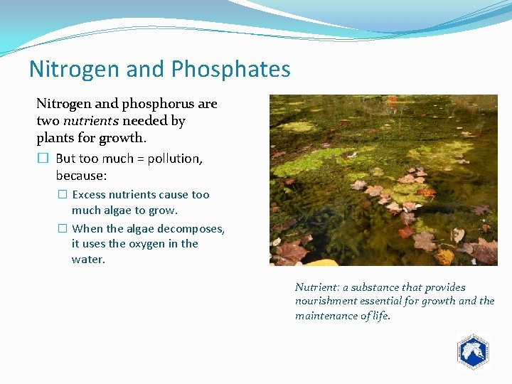 Nitrogen and Phosphates Nitrogen and phosphorus are two nutrients needed by plants for growth.