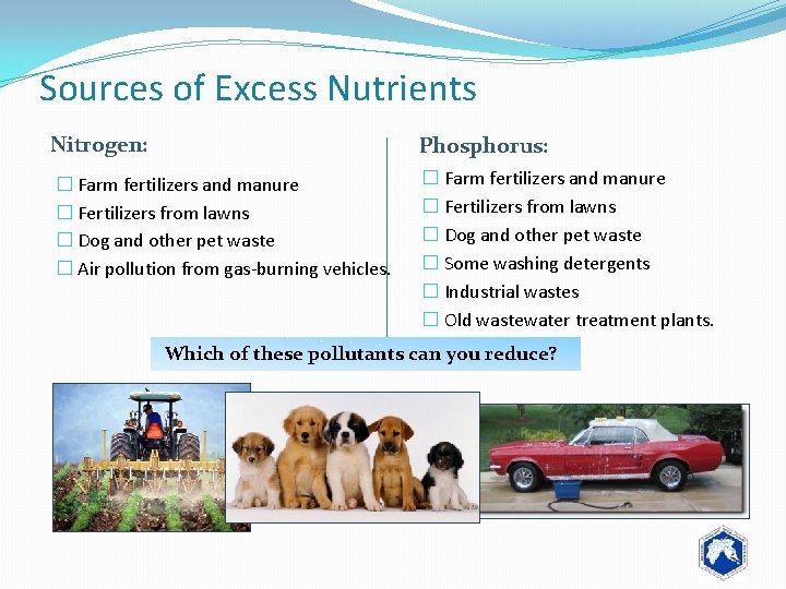 Sources of Excess Nutrients Nitrogen: Phosphorus: � Farm fertilizers and manure � Fertilizers from