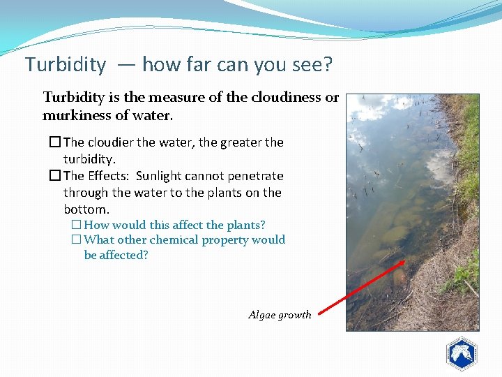 Turbidity ― how far can you see? Turbidity is the measure of the cloudiness