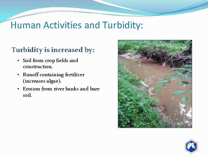 Human Activities and Turbidity: Turbidity is increased by: • Soil from crop fields and