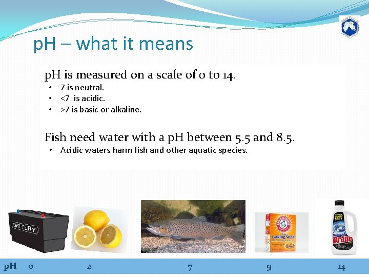 p. H – what it means p. H is measured on a scale of