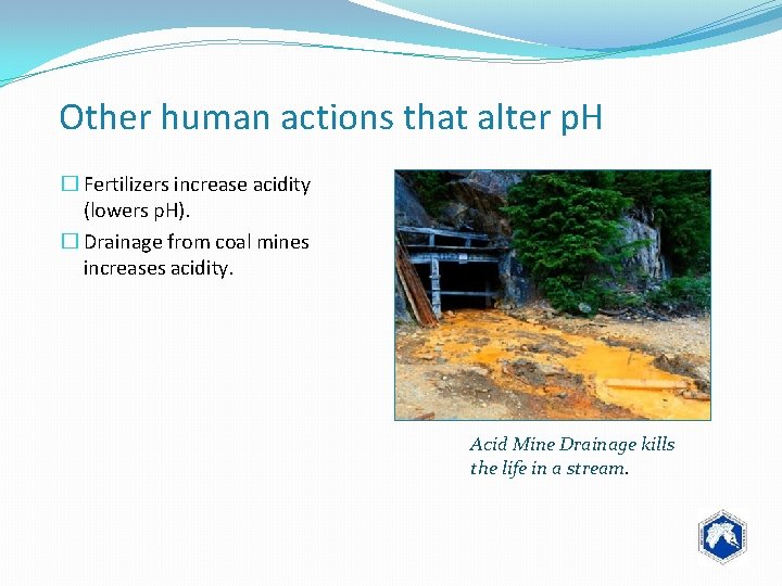 Other human actions that alter p. H � Fertilizers increase acidity (lowers p. H).