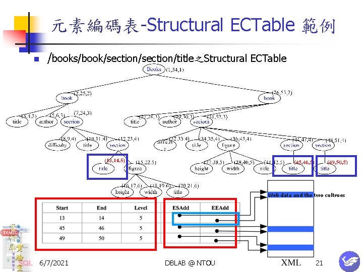 元素編碼表-Structural ECTable 範例 n /books/book/section/title之Structural ECTable Web data and the two cultrues 6/7/2021 DBLAB