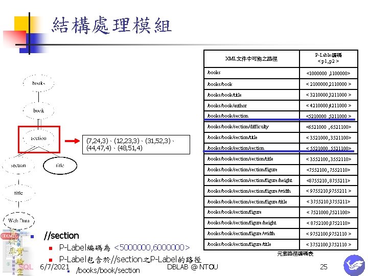 結構處理模組 P-Lable編碼 < p 1, p 2 > XML文件中可能之路徑 (7, 24, 3)、(12, 23, 3)、(31,