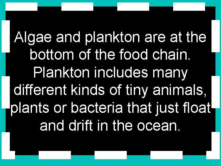 Algae and plankton are at the bottom of the food chain. Plankton includes many