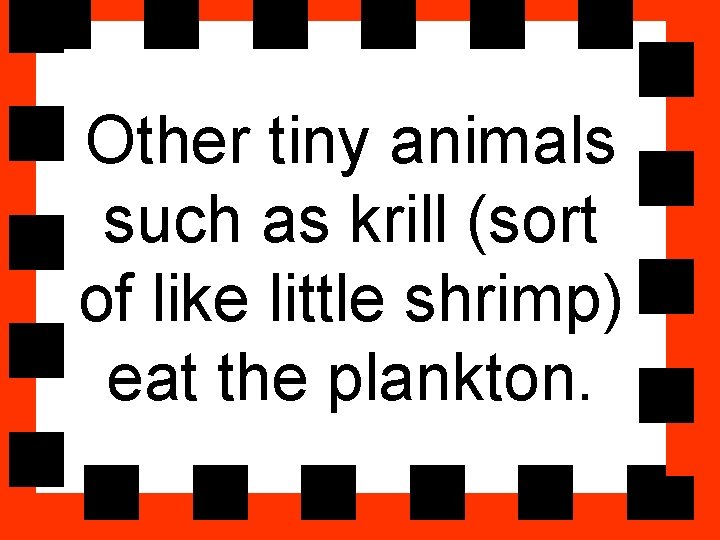 Other tiny animals such as krill (sort of like little shrimp) eat the plankton.