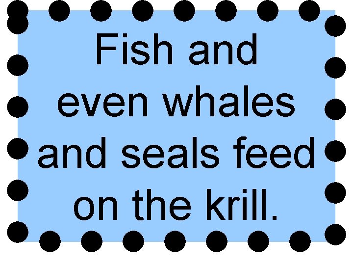 Fish and even whales and seals feed on the krill. 