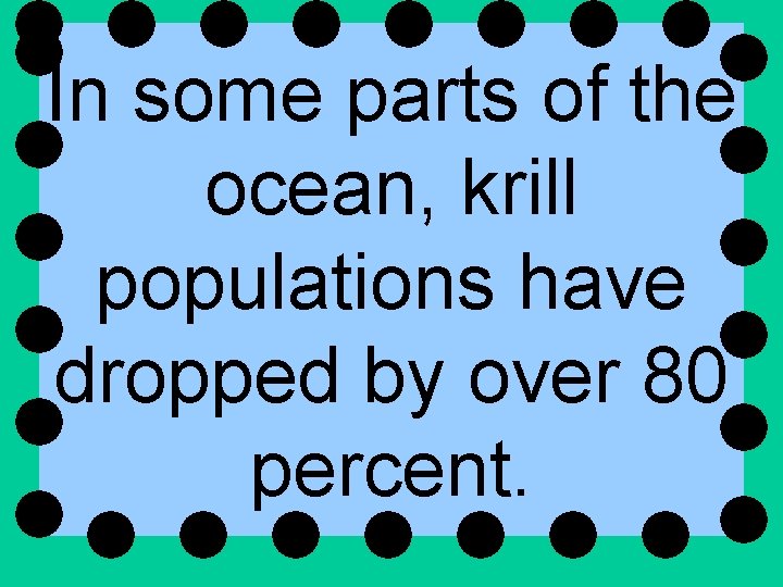 In some parts of the ocean, krill populations have dropped by over 80 percent.