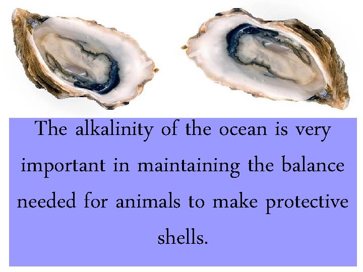 The alkalinity of the ocean is very important in maintaining the balance needed for