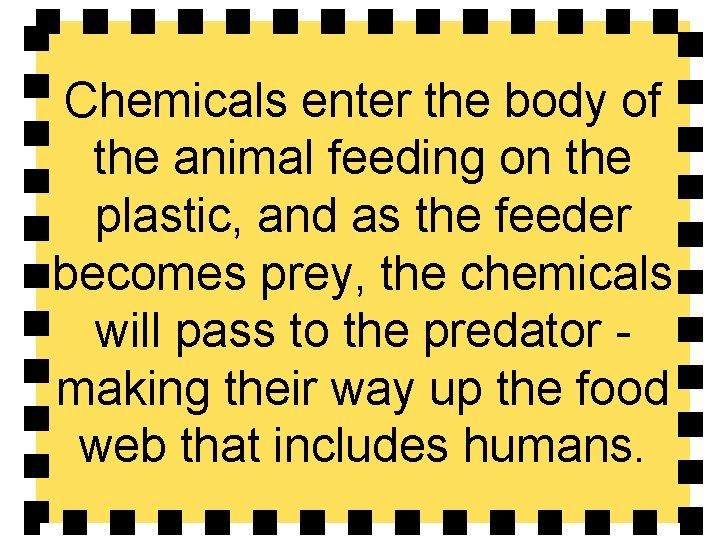 Chemicals enter the body of the animal feeding on the plastic, and as the