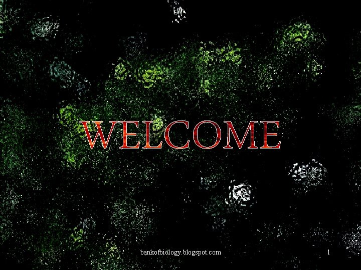 WELCOME bankofbiology. blogspot. com 1 