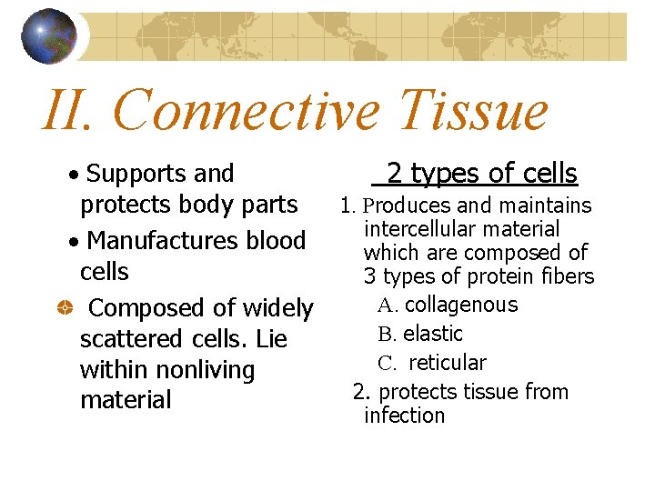 II. Connective Tissue · Supports and protects body parts · Manufactures blood cells Composed