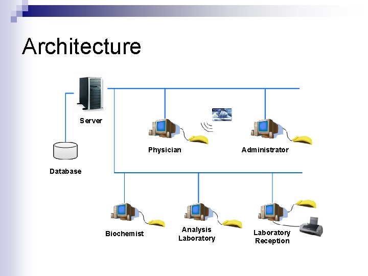 Architecture Server Physician Administrator Database Biochemist Analysis Laboratory Reception 