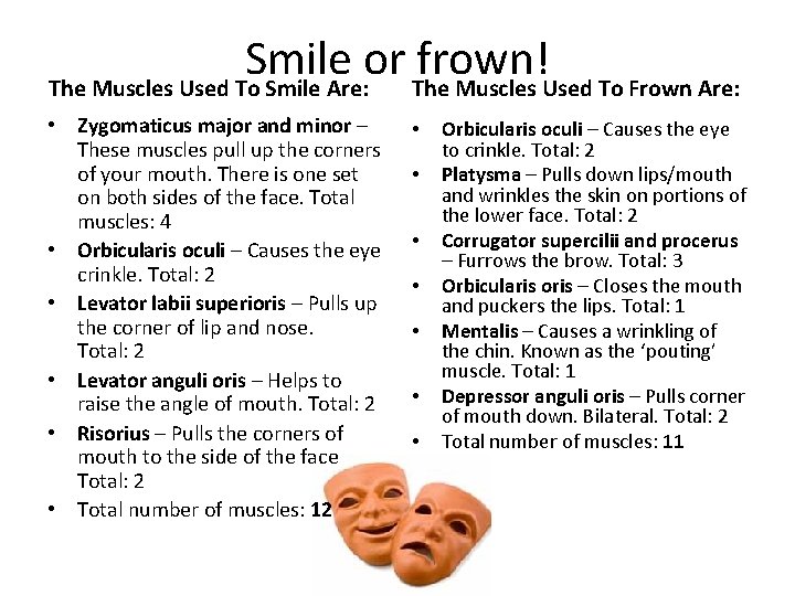 Smile or frown! The Muscles Used To Smile Are: The Muscles Used To Frown