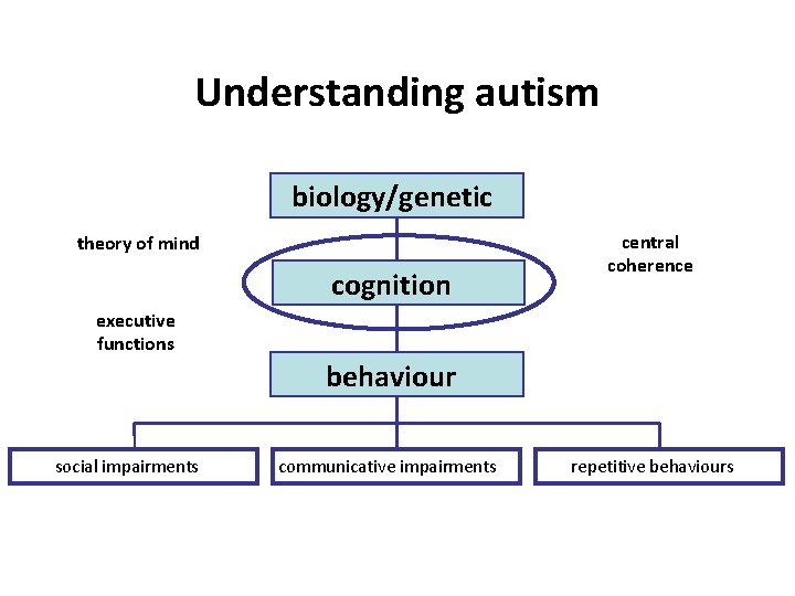 Understanding autism biology/genetic theory of mind cognition central coherence executive functions behaviour social impairments