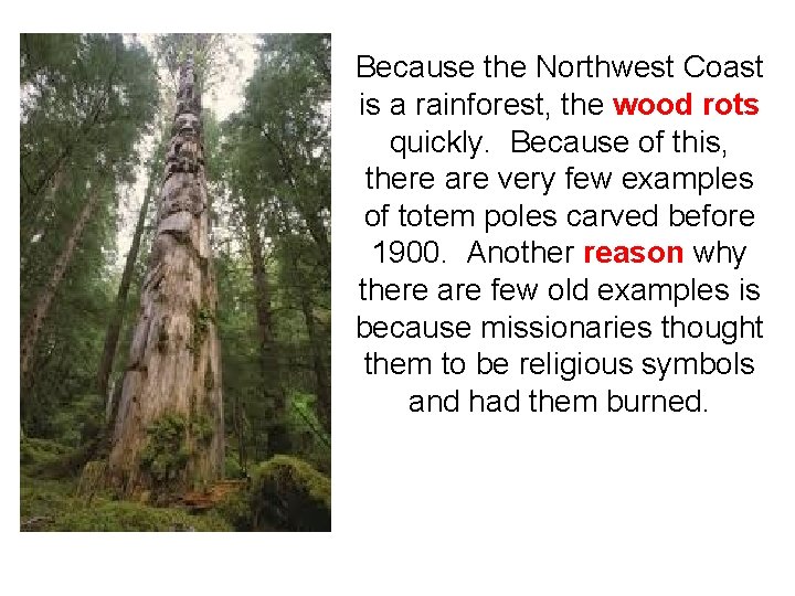 Because the Northwest Coast is a rainforest, the wood rots quickly. Because of this,