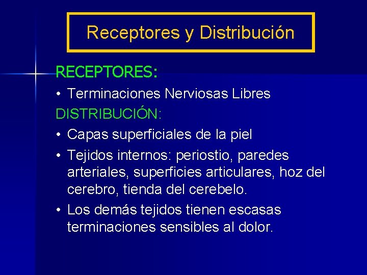 Receptores y Distribución RECEPTORES: • Terminaciones Nerviosas Libres DISTRIBUCIÓN: • Capas superficiales de la