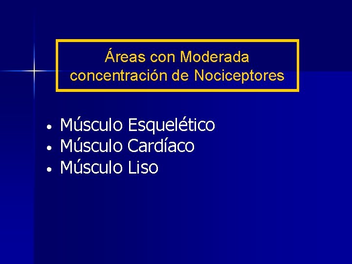Áreas con Moderada concentración de Nociceptores • • • Músculo Esquelético Músculo Cardíaco Músculo